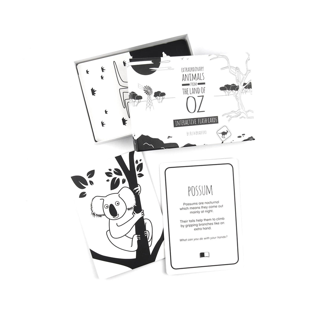 Interactive Flash Card Set - Extraordinary Animals