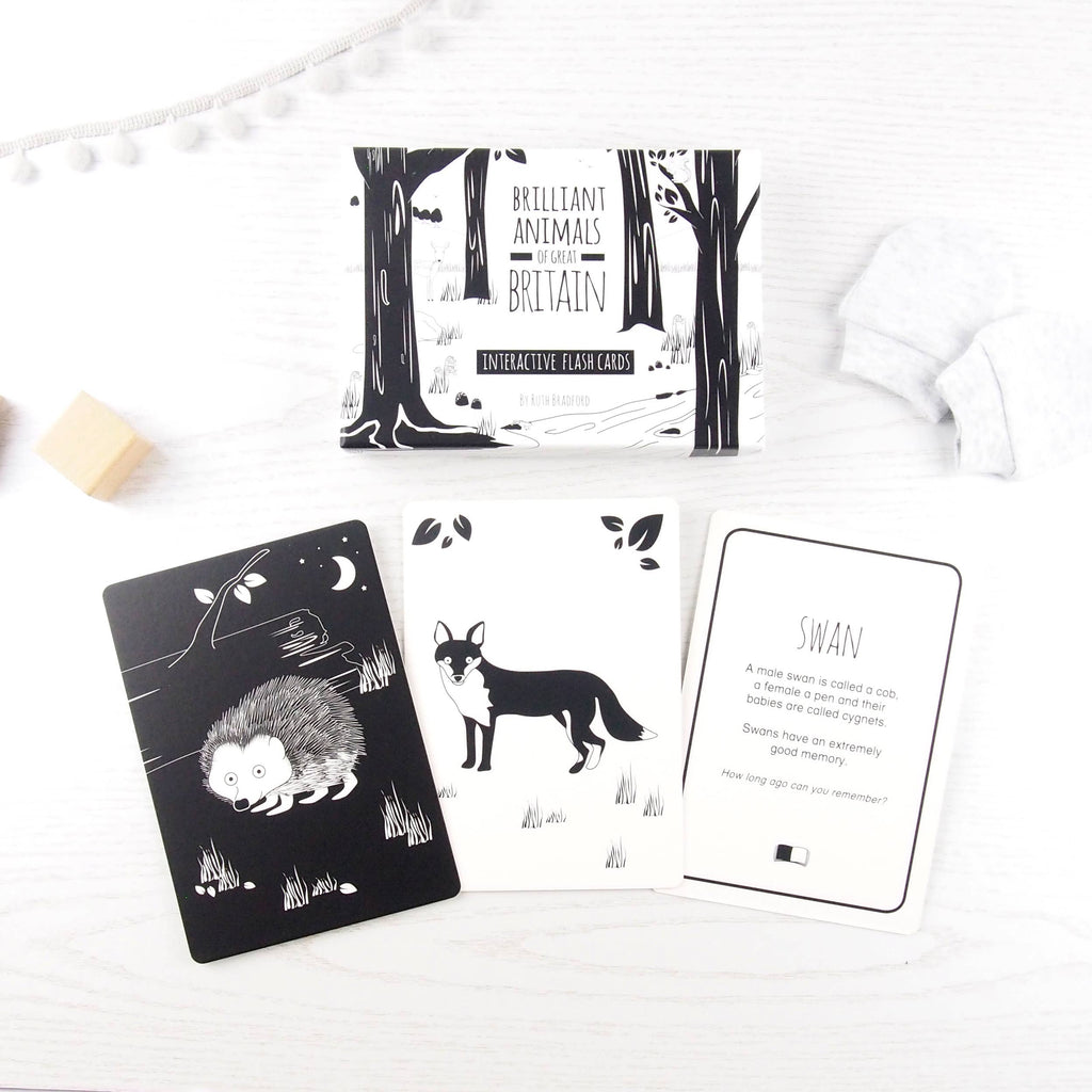 Interactive Flash Card Set - Animals of Great Britain