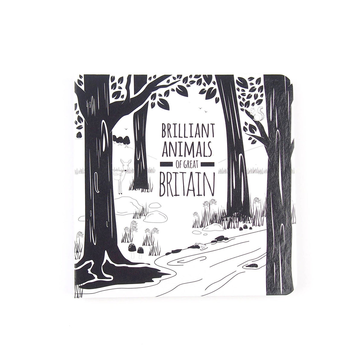 Baby Board Book - Animals from Great Britain