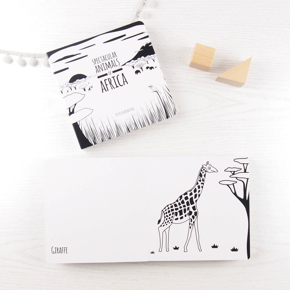 Baby Board Book - Spectacular Animals of Africa