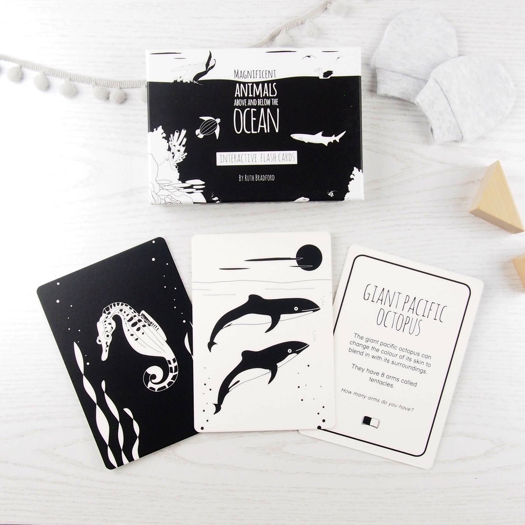 Interactive Flash Card Set - Magnificent Animals from Above
