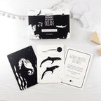 Interactive Flash Card Set - Magnificent Animals from Above