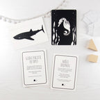 Interactive Flash Card Set - Magnificent Animals from Above