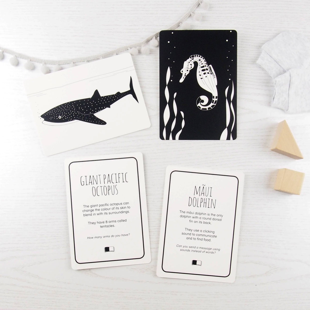 Interactive Flash Card Set - Magnificent Animals from Above