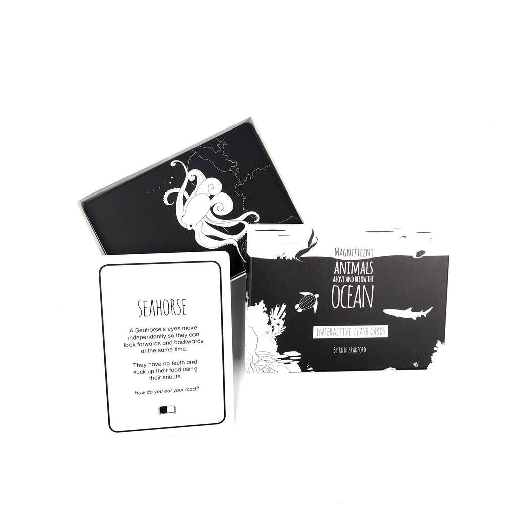 Interactive Flash Card Set - Magnificent Animals from Above