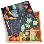 Tender Leaf Toys My Forest Floor