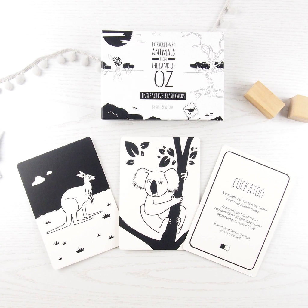 Interactive Flash Card Set - Extraordinary Animals