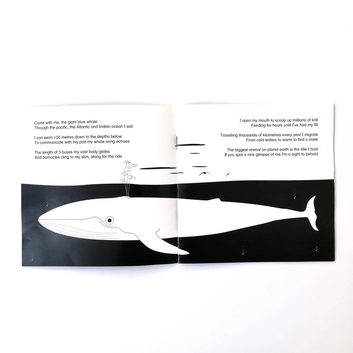 Come Dive With Me Story Book