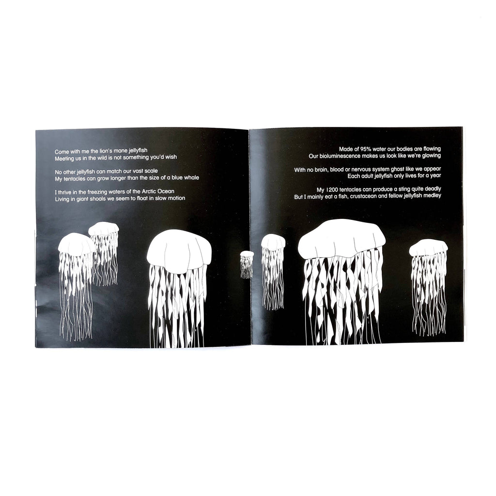 Come Dive With Me Story Book