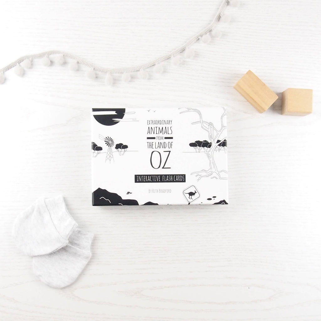 Interactive Flash Card Set - Extraordinary Animals
