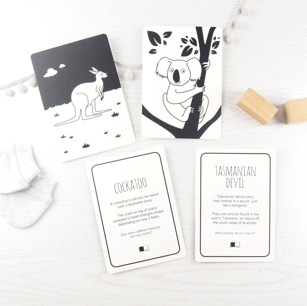 Interactive Flash Card Set - Extraordinary Animals