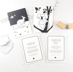 Interactive Flash Card Set - Extraordinary Animals