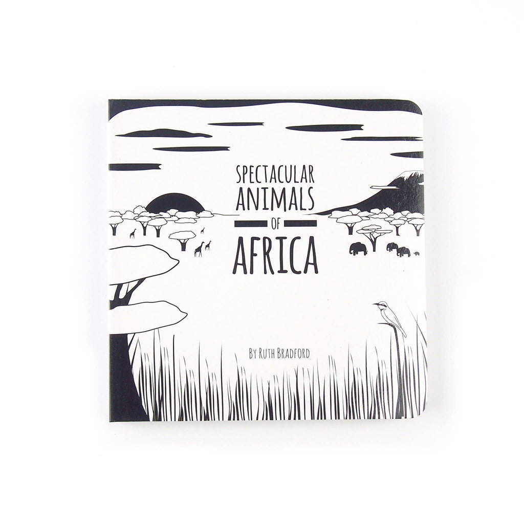 Baby Board Book - Spectacular Animals of Africa