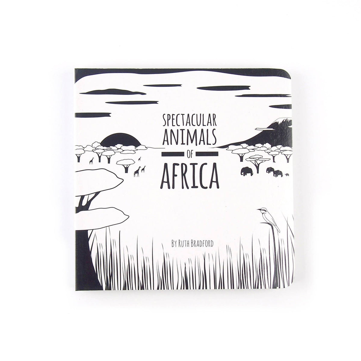 Baby Board Book - Spectacular Animals of Africa