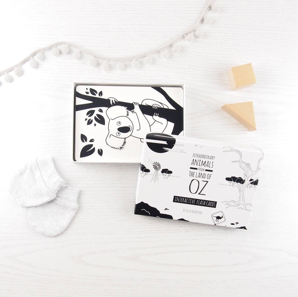 Interactive Flash Card Set - Extraordinary Animals